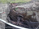 樹根嚴重阻塞排水管